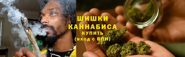 амф Дмитриев