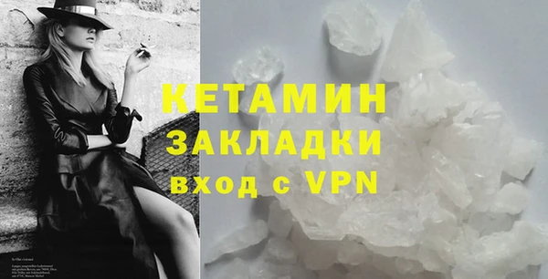 амф Дмитриев