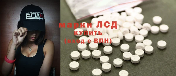 амф Дмитриев