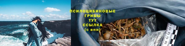 ECSTASY Дмитровск