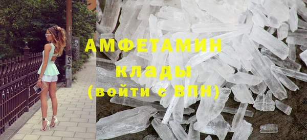 амф Дмитриев