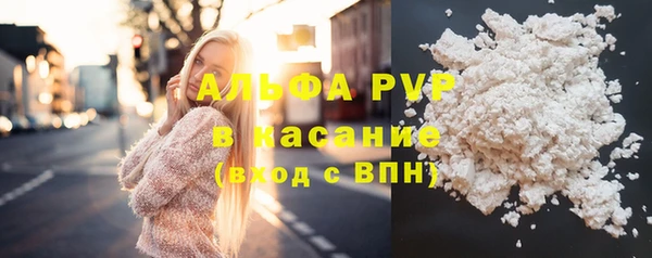 амф Дмитриев